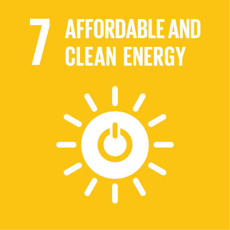 The seventh UN Sustainable Development Goal: Affordable & Clean Energy