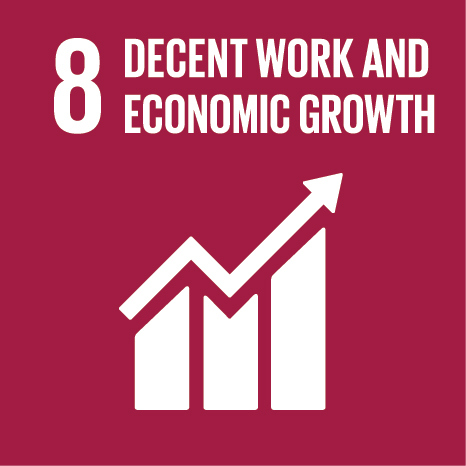 The eighth UN Sustainable Development Goal: Decent Work & Economic Growth