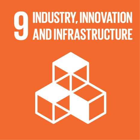 The ninth UN Sustainable Development Goal: Industry, Innovation, & Infrastructure