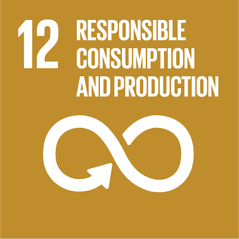 The twelfth UN Sustainable Development Goal: Responsible Consumption & Production