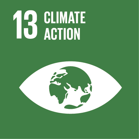 The thirteenth UN Sustainable Development Goal: Responsible Consumption & Production